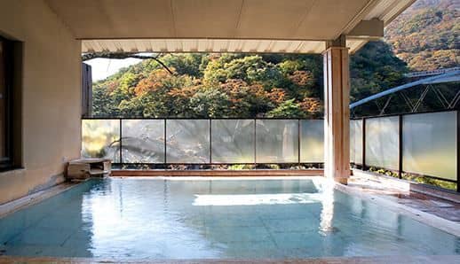 Yukemuri-no-Sato Kashiwaya Ryokan