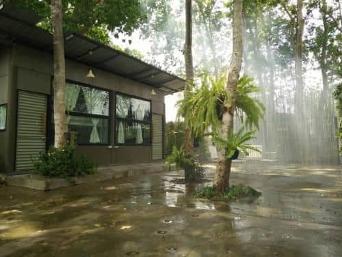 Duangdee Room