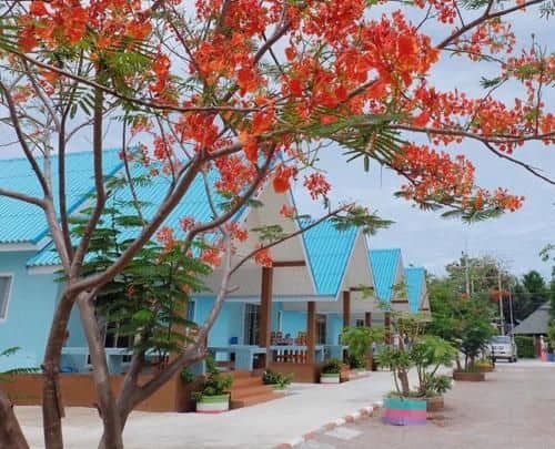 Loma beach house