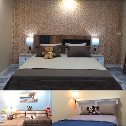 House for rent /day