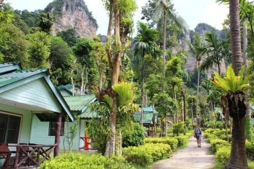 Chill Out Bar and Jungle Bungalows