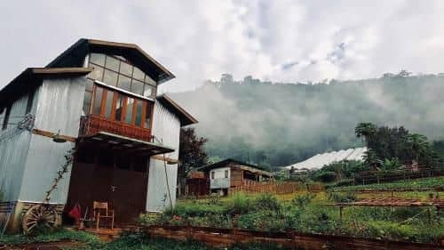 Mori Natural Farm