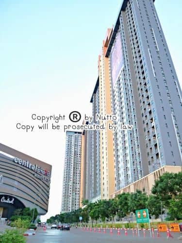 Plum Condo Central Station