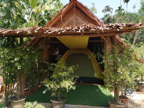 Tigerman Tours and Camp