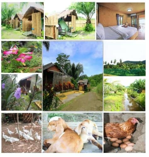 YaoIsland Resort and Farm