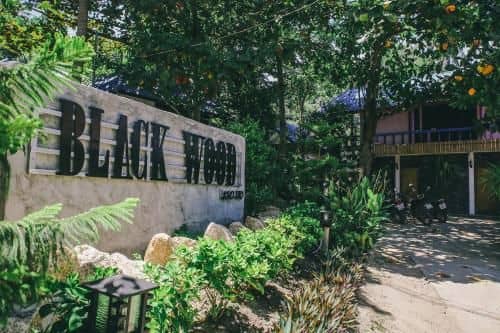 Black Wood Hostel