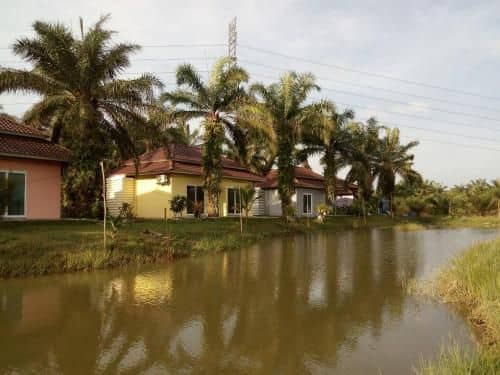 Prima resort