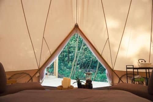 Forest Living