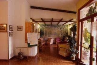 Delle Palme Delle Palme