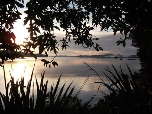 Aroha Island Aroha Island