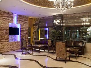 ARMIS OTEL