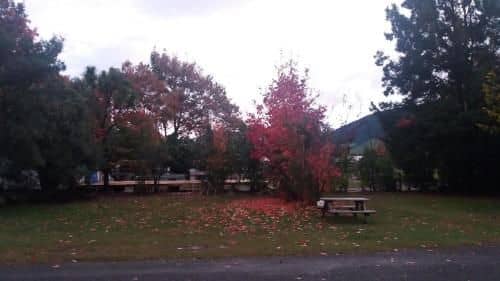 Turangi Holiday Park