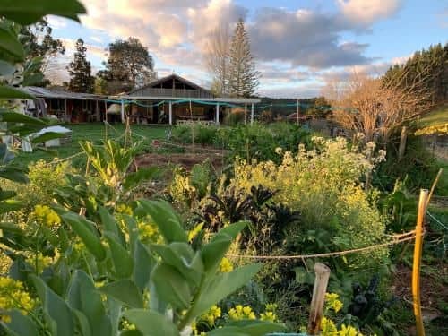 The Farm