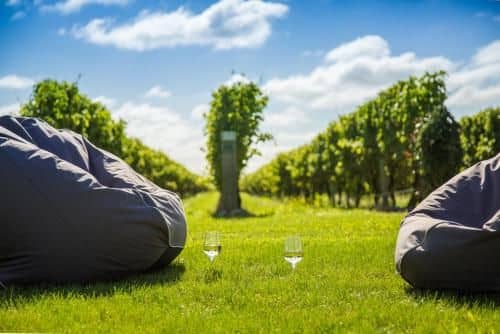 Marama Vineyard Marama Vineyard