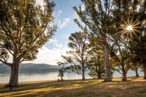 Hop, Skip and Jump to the Lake - Te Anau Holiday House Hop, Skip and Jump to the Lake - Te Anau Holiday House