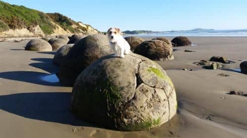 Moeraki Boulders Motel Moeraki Boulders Motel
