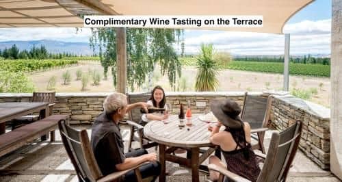 Grey Ridge Vineyard Experience Grey Ridge Vineyard Experience