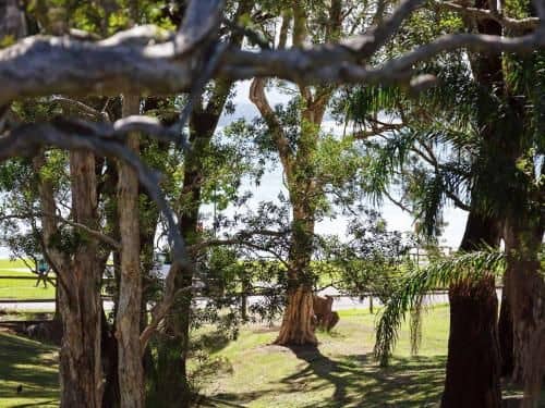 34 'Bay Parklands', 2 Gowrie Avenue - WIFI, Views, Pool, Spa & Tennis Court 34 'Bay Parklands', 2 Gowrie Avenue - WIFI, Views, Pool, Spa & Tennis Court