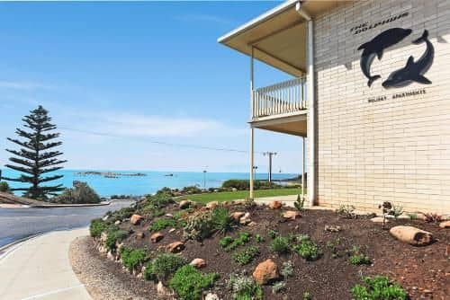The Dolphins Beachfront Apartments The Dolphins Beachfront Apartments