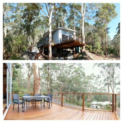 The Tree House The Tree House