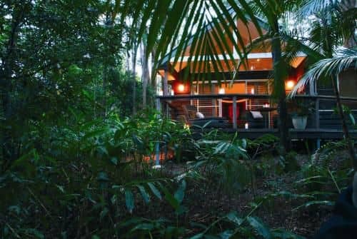 Songbirds Rainforest Retreat Songbirds Rainforest Retreat