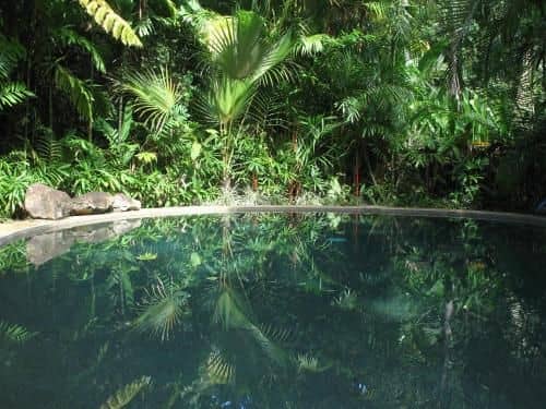 Daintree Rainforest Retreat Motel Daintree Rainforest Retreat Motel