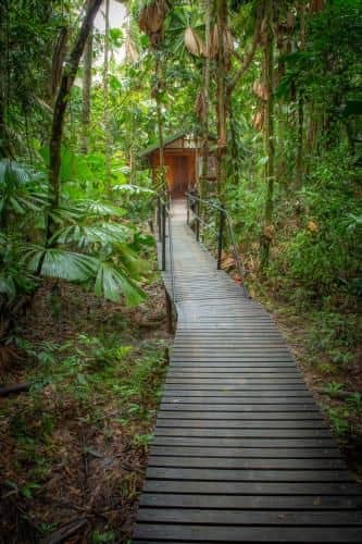 Daintree Wilderness Lodge Daintree Wilderness Lodge