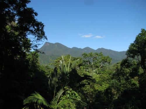 Mossman Gorge Bed and Breakfast Mossman Gorge Bed and Breakfast