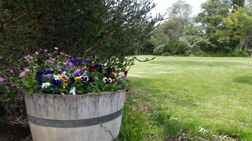 Padthaway Caravan Park Padthaway Caravan Park