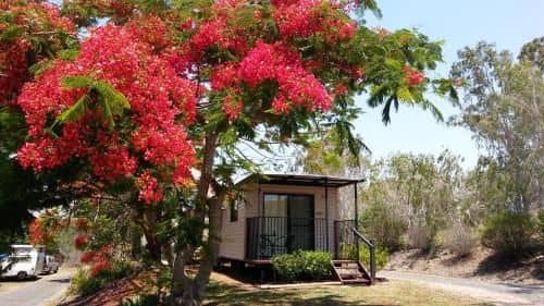 Mt Larcom Tourist Park Mt Larcom Tourist Park