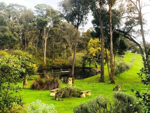 Countryside Retreat Intimate Studio Hepburn - Daylesford