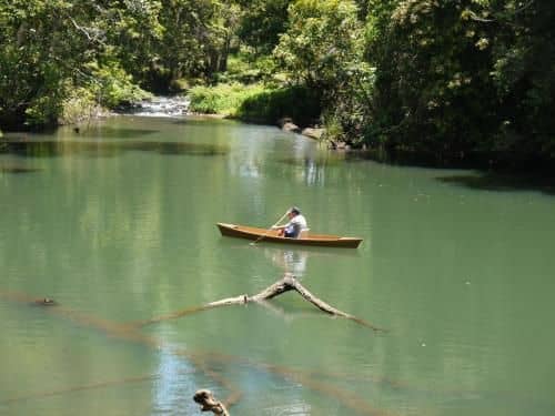 Figtree Getaway Figtree Getaway