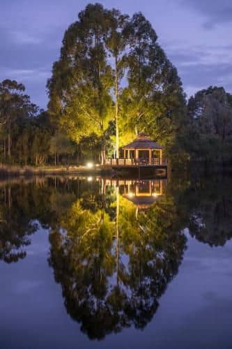 Forest Rise Chalets and Lodge