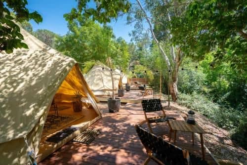 Castlemaine Gardens Luxury Glamping Castlemaine Gardens Luxury Glamping
