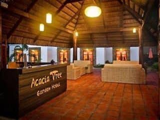 Acacia Tree Garden
