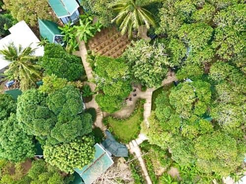 Homestay De la Rosa - Côn Đảo Homestay De la Rosa - Côn Đảo