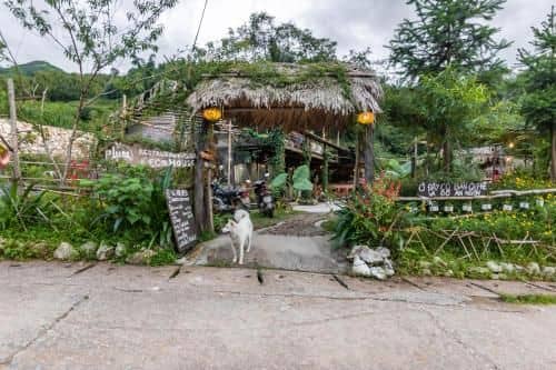 Plum Eco House