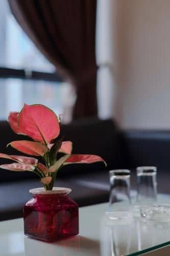 Blue Diamond Apartment Hotel Blue Diamond Apartment Hotel