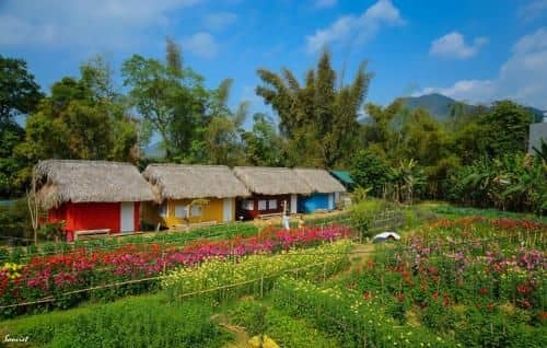 Luong Son Homestay Ecolodge Luong Son Homestay Ecolodge
