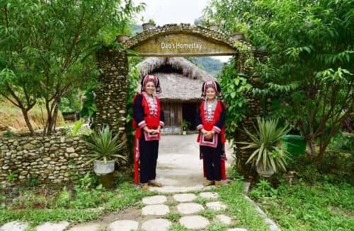 Dao Homestay