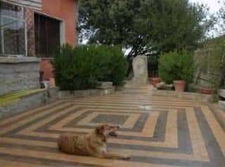 B&B Casa Mannoni Sardegna B&B Casa Mannoni Sardegna