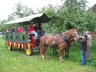 Gasthof Raben Gasthof Raben