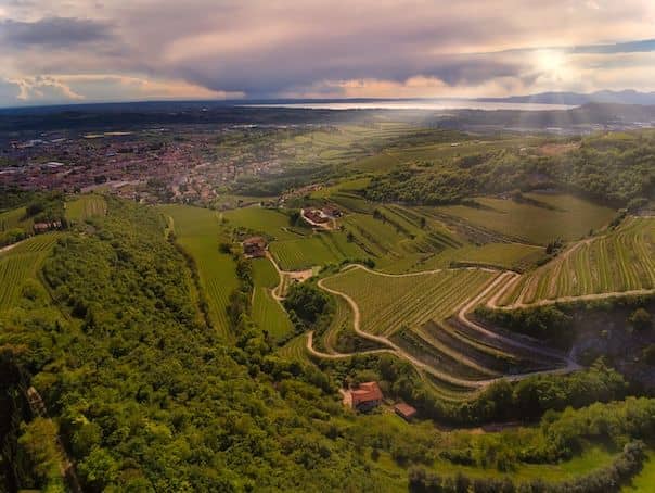 Amarone wine E-bike tour