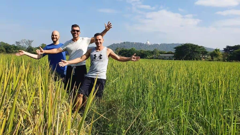 Meditation, Yoga and Thai Cultural Immersion Retreat (3 Days) | Flow Yoga Trips and Day Trips