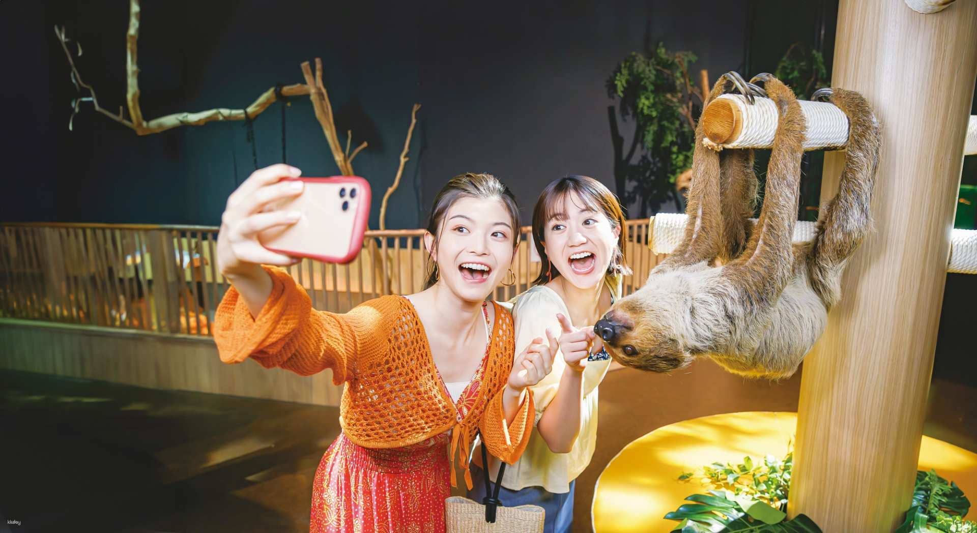 [Limited 10% OFF] DMM Kariyushi Aquarium Ticket in Okinawa | Japan Trips and Day Trips
