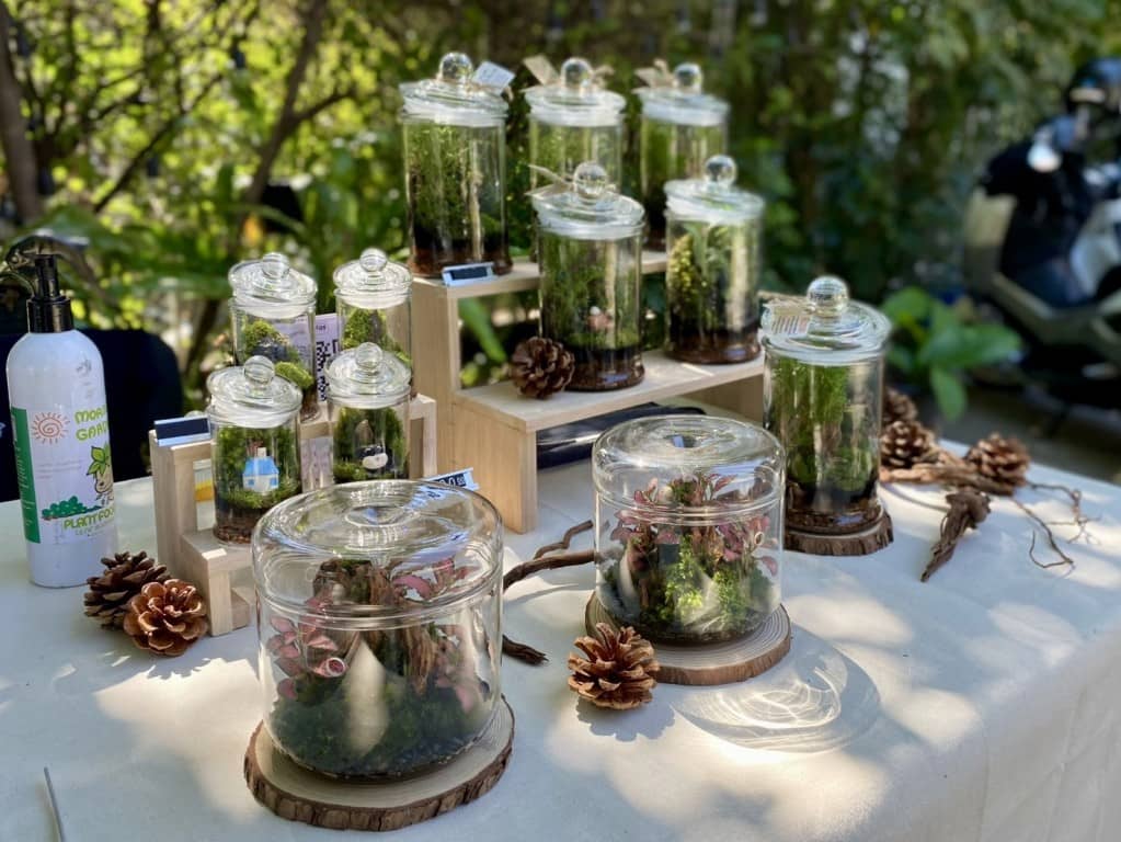 Terrarium Workshop by After The Rain