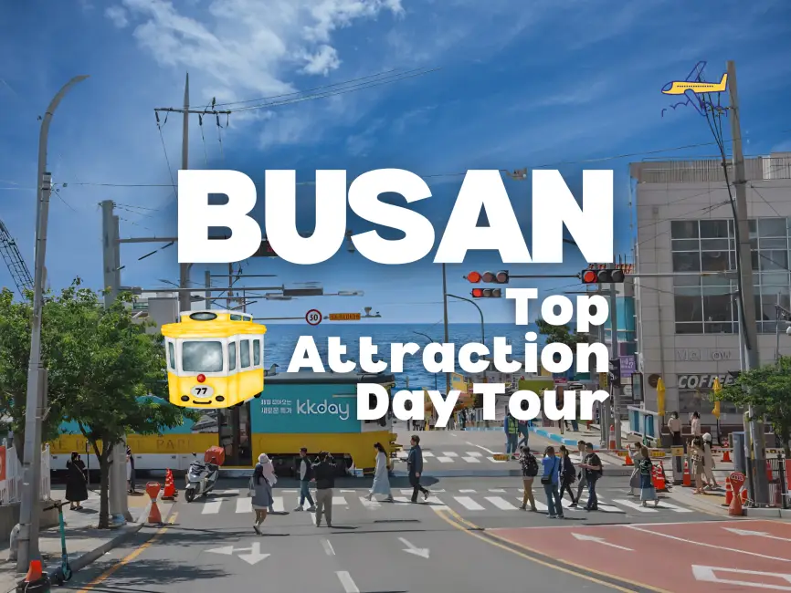 [20% OFF] Busan Top Attractions Full-Day Guided Tour | South Korea ทริปเที่ยว และเดย์ทริป