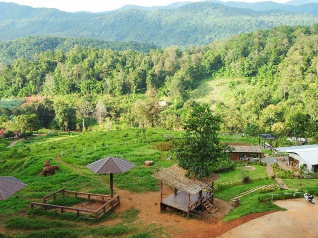 Elfin Farm + Fruit Market I Chiangmai