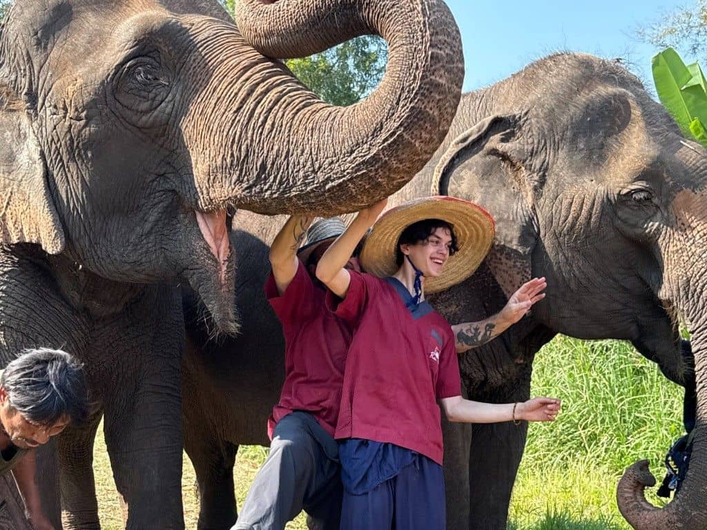 Full Day : Elephant Sanctuary, Wat Ban Den, Sticky Waterfall I Chiang Mai Trips and Day Trips