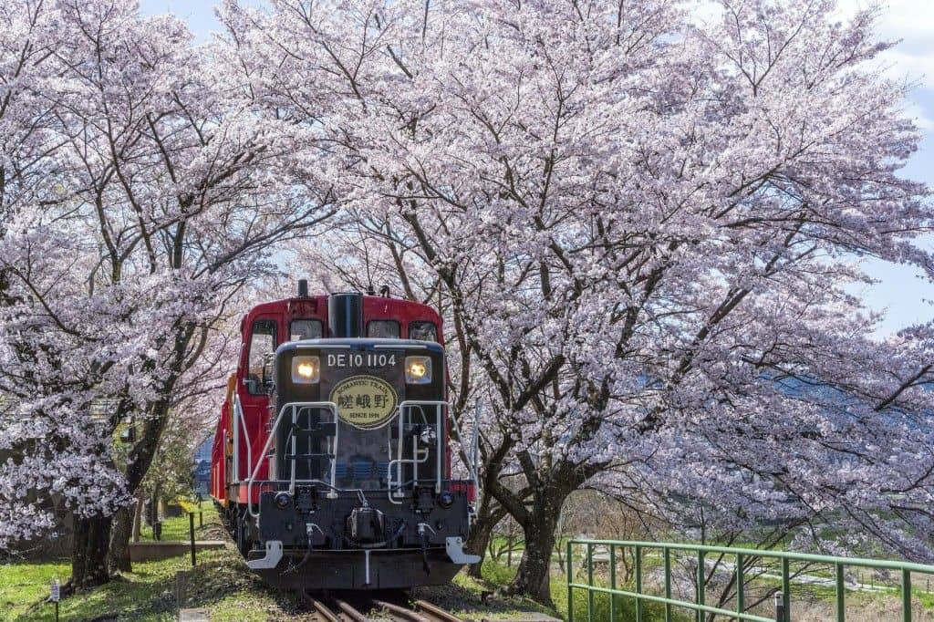 บัตรโดยสารรถไฟสายโรแมนติกซากาโนะ (เที่ยวเดียว)